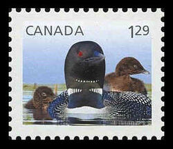Loon - Baby Wildlife - WA Canada Postage Stamp | Baby Wildlife - Definitives