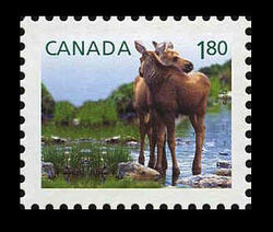 Moose - Baby Wildlife - WA Canada Postage Stamp | Baby Wildlife - Definitives