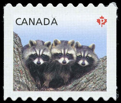 Raccoons - Baby Wildlife - Quarterly Pack Die Cut Canada Postage Stamp | Baby Wildlife - Definitives