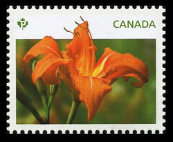 Orange Daylily - WA Canada Postage Stamp | Daylilies