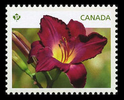 Purple Daylily - WA Canada Postage Stamp | Daylilies
