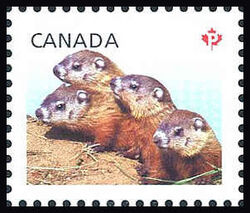 Woodchucks - Baby Wildlife - WA Canada Postage Stamp | Baby Wildlife - Definitives