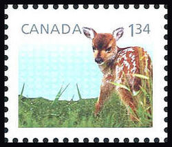 White-Tailed Deer - Baby Wildlife - WA Canada Postage Stamp | Baby Wildlife - Definitives