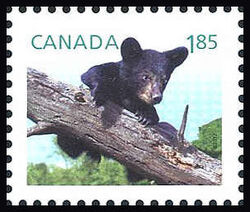 Black Bear - Baby Wildlife - WA Canada Postage Stamp | Baby Wildlife - Definitives