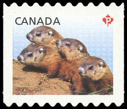 Woodchucks - Baby Wildlife - Quarterly Pack Die Cut Canada Postage Stamp | Baby Wildlife - Definitives