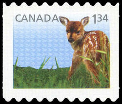 White-Tailed Deer - Baby Wildlife - Quarterly Pack Die Cut Canada Postage Stamp | Baby Wildlife - Definitives