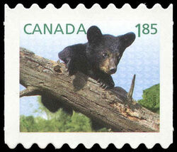 Black Bear - Baby Wildlife - Quarterly Pack Die Cut Canada Postage Stamp | Baby Wildlife - Definitives