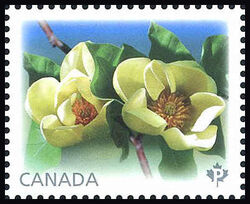 Yellow Bird Magnolias - WA Canada Postage Stamp | Magnolias