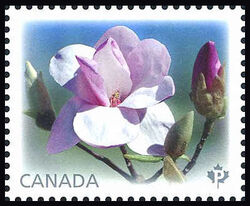 Eskimo Magnolias - WA Canada Postage Stamp | Magnolias