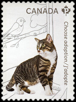 Adopt A Striped Cat - WA -  Canada Postage Stamp | Adopt a Pet