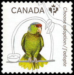 Adopt A Parrot - WA Canada Postage Stamp | Adopt a Pet