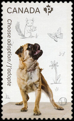 Adopt A Pug Dog - WA Canada Postage Stamp | Adopt a Pet