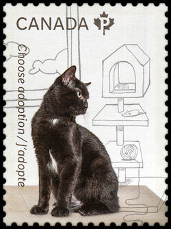Adopt A Black Cat - WA Canada Postage Stamp | Adopt a Pet