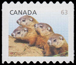 Woodchucks - Baby Wildlife - Die Cut 8.15-8.5 - Quarterly Pack Die Cut Canada Postage Stamp | Baby Wildlife - Definitives