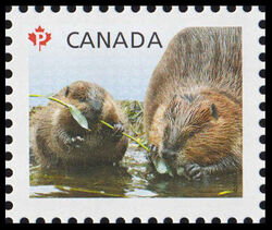 Beavers - Baby Wildlife - WA Canada Postage Stamp | Baby Wildlife - Definitives