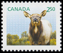 Wapiti (Elk) - Baby Wildlife - WA Canada Postage Stamp | Baby Wildlife - Definitives