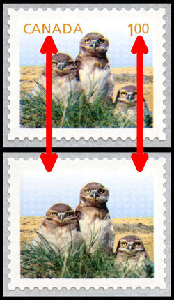 Burrowing Owls - Baby Wildlife - Missing Yellow Inscriptions CANADA and 1.00 Canada Postage Stamp | Baby Wildlife - Definitives