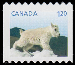 Mountain Goat - Baby Wildlife - Quarterly Pack Die Cut Canada Postage Stamp | Baby Wildlife - Definitives