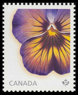 Midnight Glow Pansy - WA Canada Postage Stamp | Pansies