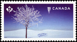 Hoar Frost On Tree - WA Canada Postage Stamp | Weather Wonders