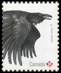 Common Raven (Corvus Corax) Yukon - WA Canada Postage Stamp | Birds of Canada