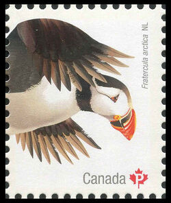 Atlantic Puffin (Fratercula Arctica) Newfoundland And Labrador - WA Canada Postage Stamp | Birds of Canada