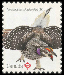 Sharp-tailed Grouse (Tympanuchus Phasianellus) Saskatchewan - WA Canada Postage Stamp | Birds of Canada