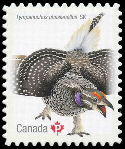 Sharp-tailed Grouse (Tympanuchus Phasianellus) Saskatchewan - Quarterly Pack Die Cut Canada Postage Stamp | Birds of Canada
