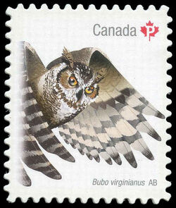 Great Horned Owl (Bubo Virginianus) Alberta - Quarterly Pack Die Cut Canada Postage Stamp | Birds of Canada