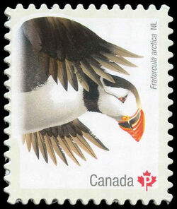 Atlantic Puffin (Fratercula Arctica) Newfoundland And Labrador - Quarterly Pack Die Cut Canada Postage Stamp | Birds of Canada