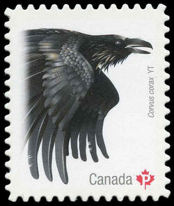 Common Raven (Corvus Corax) Yukon - Quarterly Pack Die Cut Canada Postage Stamp | Birds of Canada