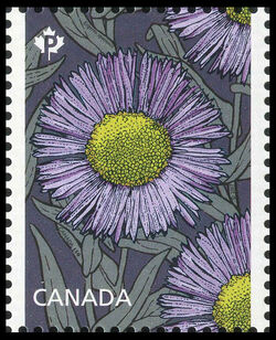 Fleabane Daisy - Erigeron Speciosus - WA Canada Postage Stamp | Daisies