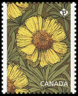 Lakeside Daisy - Tetraneuris Herbacea - WA Canada Postage Stamp | Daisies