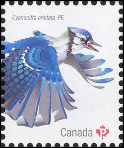 Blue Jay - Cyanocitta Cristata - WA Canada Postage Stamp | Birds of Canada