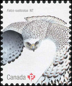 Gyrfalcon - Falco Rusticolus - WA Canada Postage Stamp | Birds of Canada