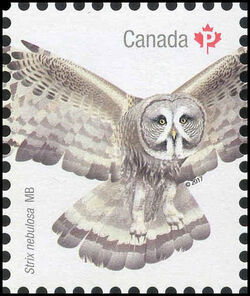 Great Gray Owl - Strix Nebulosa - WA Canada Postage Stamp | Birds of Canada