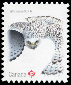 Gyrfalcon - Falco Rusticolus - Quarterly Pack Die Cut Canada Postage Stamp | Birds of Canada