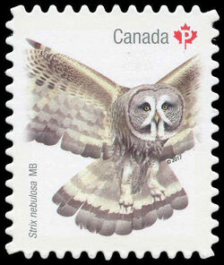 Great Gray Owl - Strix Nebulosa - Quarterly Pack Die Cut Canada Postage Stamp | Birds of Canada