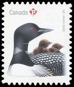 Common Loon - Gavia Immer - Quarterly Pack Die Cut Canada Postage Stamp | Birds of Canada
