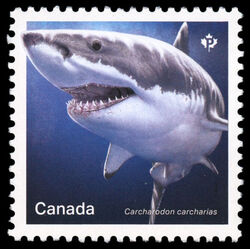 Great White Shark - Carcharodon Carcharias - WA Canada Postage Stamp | Sharks