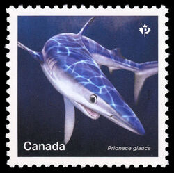 Blue Shark - Prionace Glauca - WA Canada Postage Stamp | Sharks