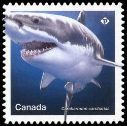 Great White Shark - Carcharodon Carcharias - Quarterly Pack Die Cut Canada Postage Stamp | Sharks