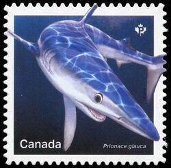 Blue Shark - Prionace Glauca - Quarterly Pack Die Cut Canada Postage Stamp | Sharks