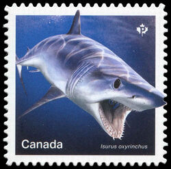 Shortfin Mako Shark - Isurus Oxyrinchus - Quarterly Pack Die Cut Canada Postage Stamp | Sharks