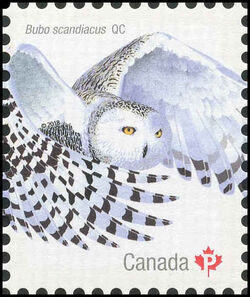 Snowy Owl - WA Canada Postage Stamp | Birds of Canada