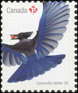 Steller’s Jay - WA Canada Postage Stamp | Birds of Canada