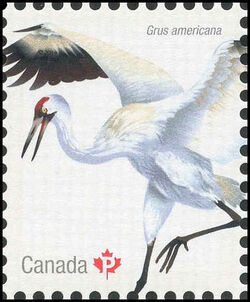 Whooping Crane - WA Canada Postage Stamp | Birds of Canada