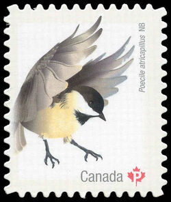 Black-capped Chickadee - Quarterly Pack Die Cut Canada Postage Stamp | Birds of Canada
