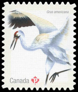 Whooping Crane - Quarterly Pack Die Cut Canada Postage Stamp | Birds of Canada