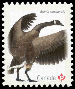 Canada Goose - Quarterly Pack Die Cut Canada Postage Stamp | Birds of Canada
